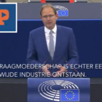 Screenshot van Bert-Jan Ruissen tijdens debat Europees Parlement