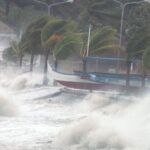 Wild water en hard waaiende boomtakken tijdens een orkaan of tyfoon